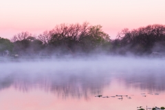 Berry Creek Sunrise