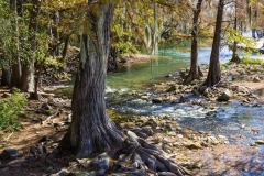 Gruene River
