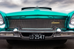 Continental Grille