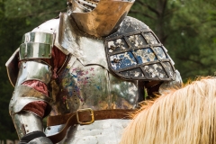 Battered but still erect