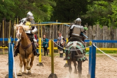 Faire Jousting